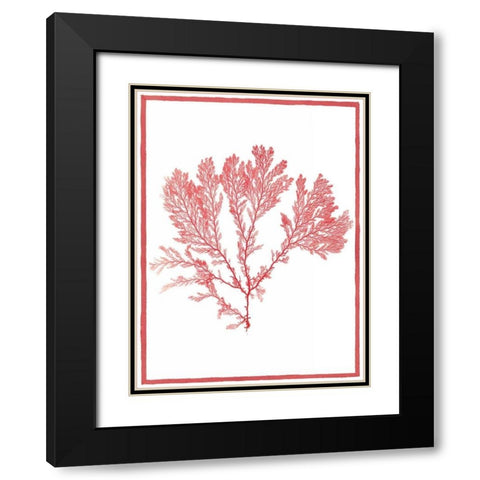 Sea Things I Black Modern Wood Framed Art Print with Double Matting by Chilton, Sarah E