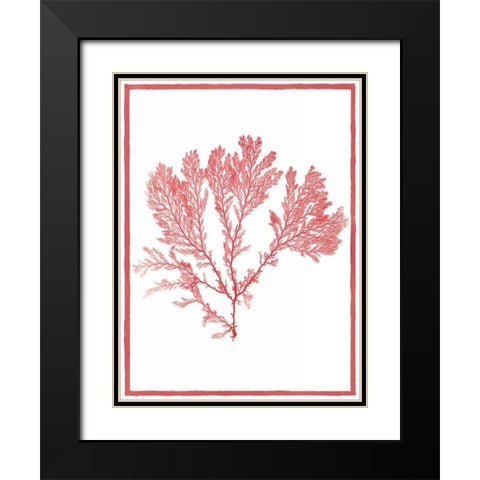 Sea Things I Black Modern Wood Framed Art Print with Double Matting by Chilton, Sarah E