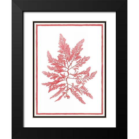 Sea Things III Black Modern Wood Framed Art Print with Double Matting by Chilton, Sarah E