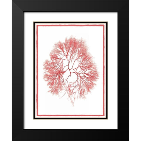 Sea Things IV Black Modern Wood Framed Art Print with Double Matting by Chilton, Sarah E