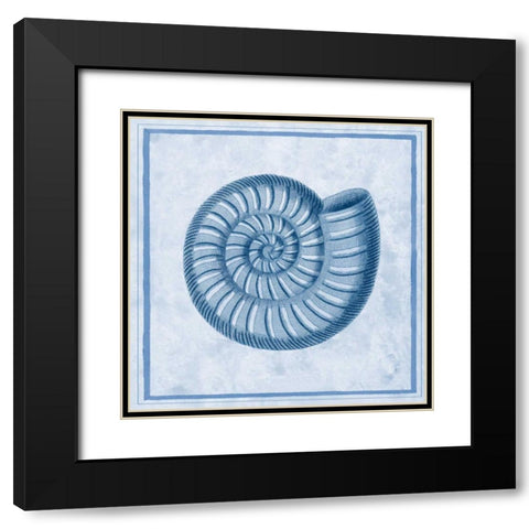 Blue Nautilus A Black Modern Wood Framed Art Print with Double Matting by Chilton, Sarah E