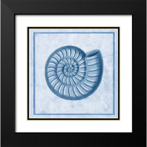 Blue Nautilus A Black Modern Wood Framed Art Print with Double Matting by Chilton, Sarah E