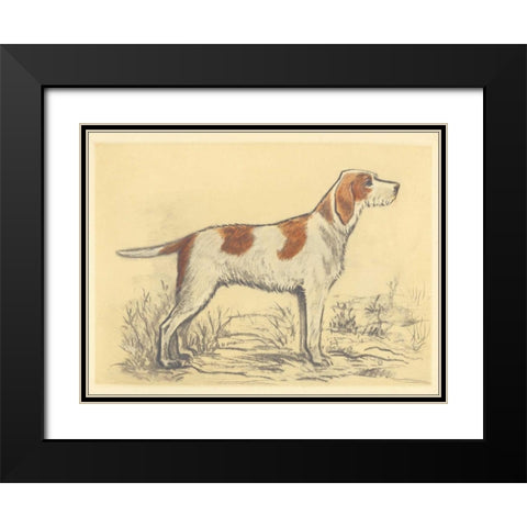 Hunting Dogs-Griffon Black Modern Wood Framed Art Print with Double Matting by Collot, Andres