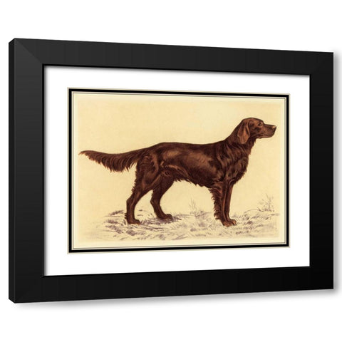 Hunting Dogs-Setter Black Modern Wood Framed Art Print with Double Matting by Collot, Andres