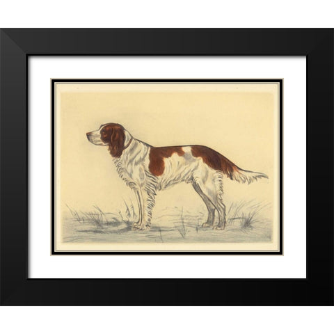 Hunting Dogs-Spaniel Black Modern Wood Framed Art Print with Double Matting by Collot, Andres