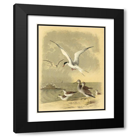 Coastal Dwellers I Black Modern Wood Framed Art Print with Double Matting by Steele, Horace