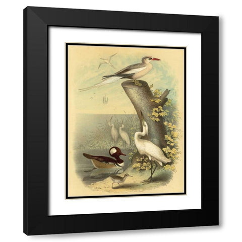 Coastal Dwellers II Black Modern Wood Framed Art Print with Double Matting by Steele, Horace
