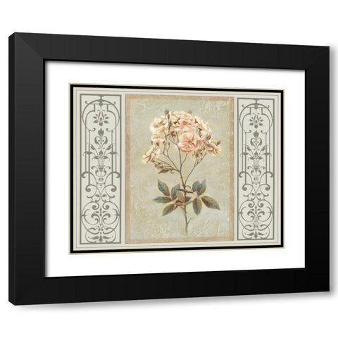 Heritage Roses I Black Modern Wood Framed Art Print with Double Matting by Chilton, Sarah E.