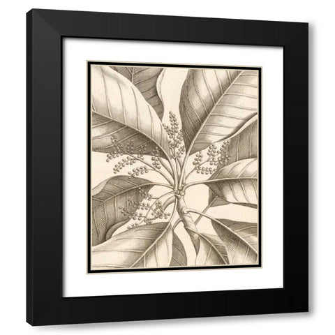 Tropical Connection II Black Modern Wood Framed Art Print with Double Matting by Van Houtte, Louis