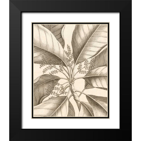 Tropical Connection II Black Modern Wood Framed Art Print with Double Matting by Van Houtte, Louis
