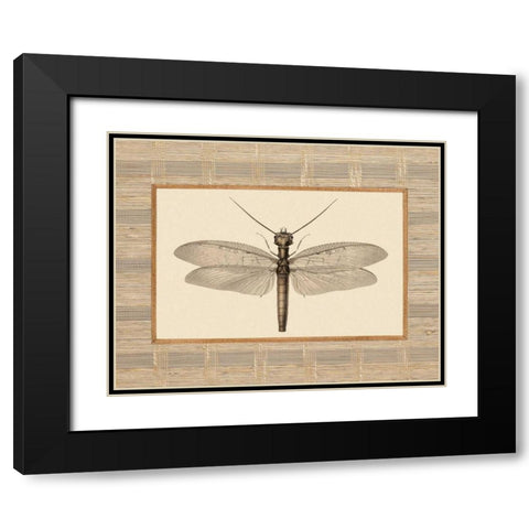 Delicate Dancer II Black Modern Wood Framed Art Print with Double Matting by Chilton, Sarah E