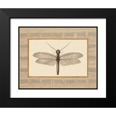 Delicate Dancer II Black Modern Wood Framed Art Print with Double Matting by Chilton, Sarah E
