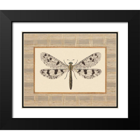 Delicate Dancer III Black Modern Wood Framed Art Print with Double Matting by Chilton, Sarah E