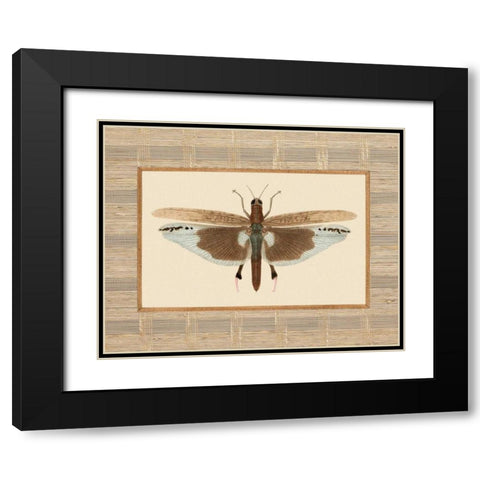 Delicate Dancer IV Black Modern Wood Framed Art Print with Double Matting by Chilton, Sarah E