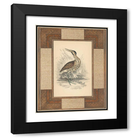 Marshland Bittern Black Modern Wood Framed Art Print with Double Matting by Reynolds, Alastair