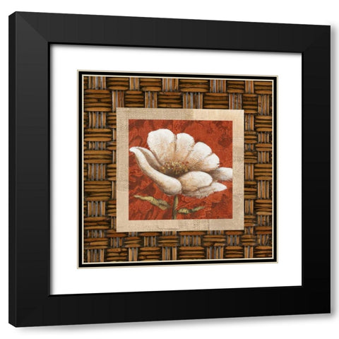 Plantation Themes B Black Modern Wood Framed Art Print with Double Matting by Davies, Susan
