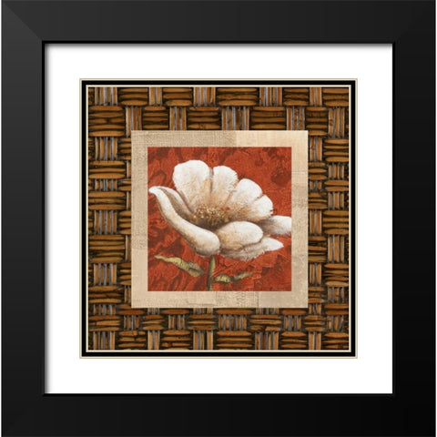 Plantation Themes B Black Modern Wood Framed Art Print with Double Matting by Davies, Susan