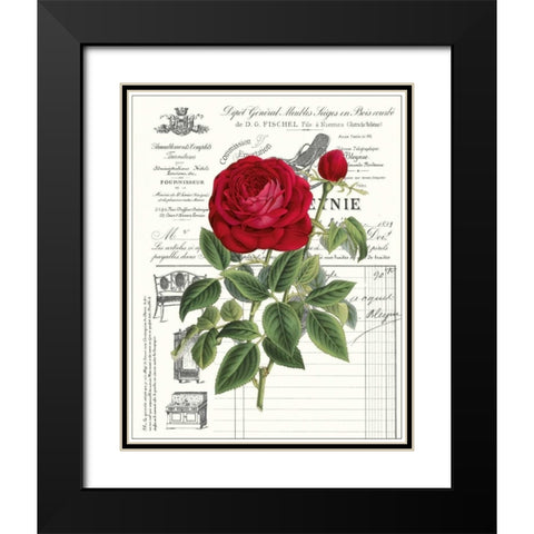 Heirloom Roses B Black Modern Wood Framed Art Print with Double Matting by Chilton, Sarah E