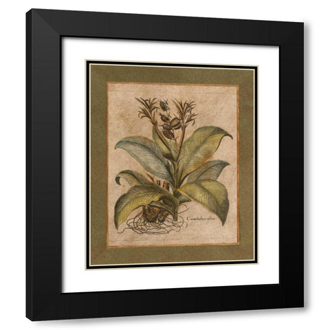 Valencia I Black Modern Wood Framed Art Print with Double Matting by Alexander, Zachary