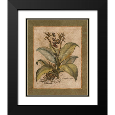 Valencia I Black Modern Wood Framed Art Print with Double Matting by Alexander, Zachary