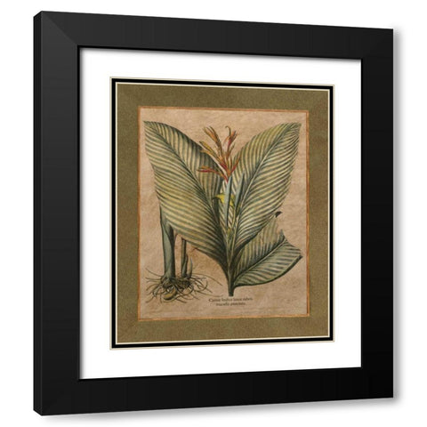 Valencia II Black Modern Wood Framed Art Print with Double Matting by Alexander, Zachary