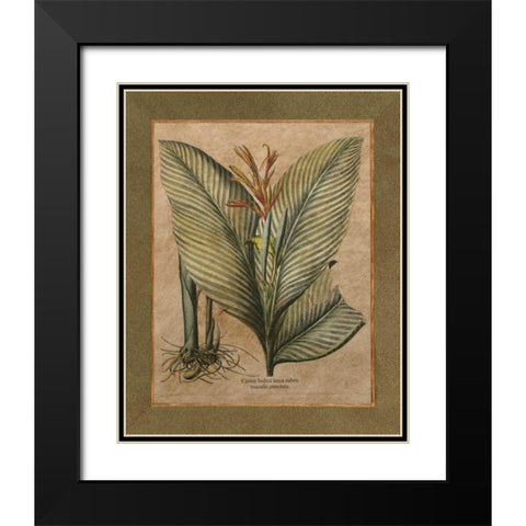 Valencia II Black Modern Wood Framed Art Print with Double Matting by Alexander, Zachary