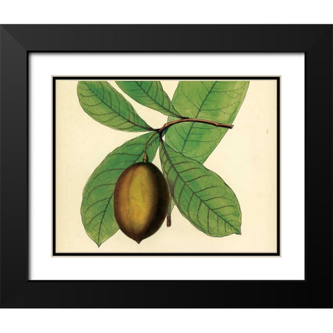 Palmetto IV Black Modern Wood Framed Art Print with Double Matting by Alexander, Zachary