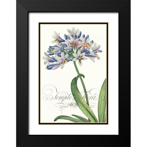 Modern Atelier I Black Modern Wood Framed Art Print with Double Matting by Chilton, Sarah E