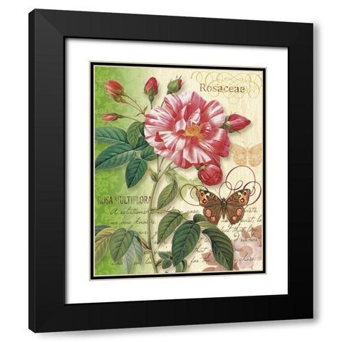 Rose Splendor I Black Modern Wood Framed Art Print with Double Matting by Han, Ching