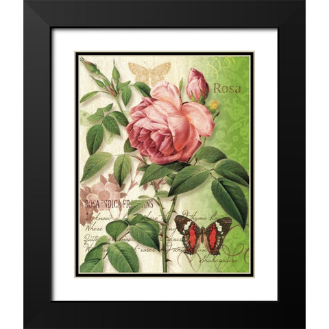 Rose Splendor II Black Modern Wood Framed Art Print with Double Matting by Han, Ching