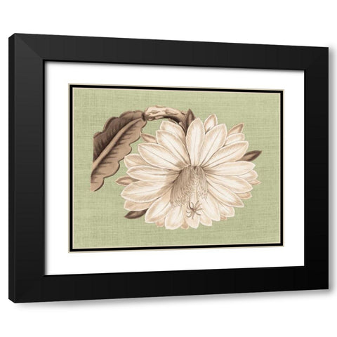 Regence Lily II Black Modern Wood Framed Art Print with Double Matting by Chilton, Sarah E