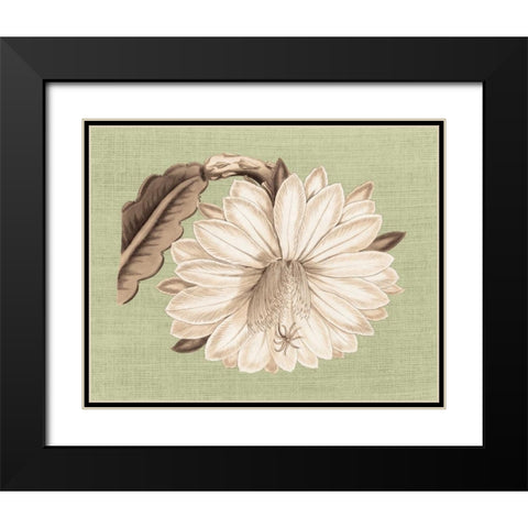 Regence Lily II Black Modern Wood Framed Art Print with Double Matting by Chilton, Sarah E