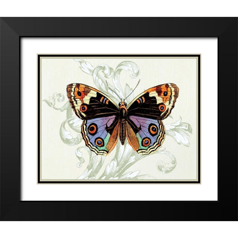 Butterfly Theme I Black Modern Wood Framed Art Print with Double Matting by Davies, Susan