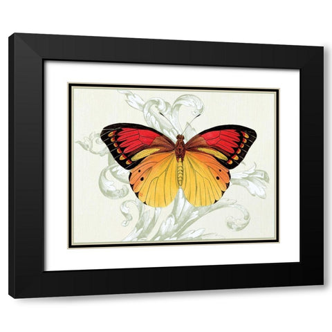 Butterfly Theme III Black Modern Wood Framed Art Print with Double Matting by Davies, Susan