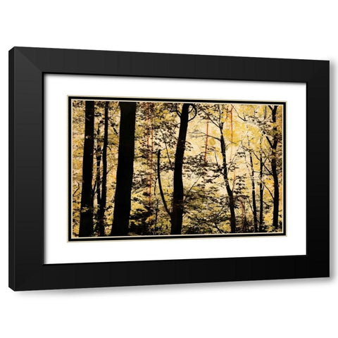 Golden Wood Black Modern Wood Framed Art Print with Double Matting by Nicole, Lily