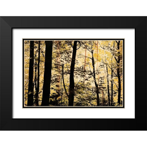 Golden Wood Black Modern Wood Framed Art Print with Double Matting by Nicole, Lily