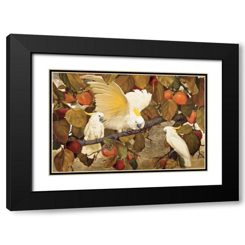 Persimmons and Cockatoos Black Modern Wood Framed Art Print with Double Matting by Botke, Jesse Arms