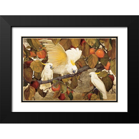 Persimmons and Cockatoos Black Modern Wood Framed Art Print with Double Matting by Botke, Jesse Arms