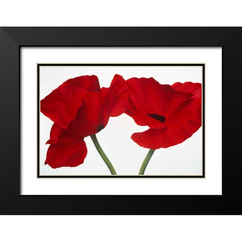 Poppy red Black Modern Wood Framed Art Print with Double Matting by Poelstra-Holzhaus, Yvonne