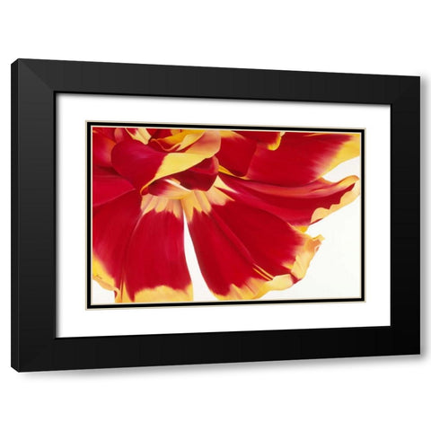 Floriade III Black Modern Wood Framed Art Print with Double Matting by Poelstra-Holzhaus, Yvonne