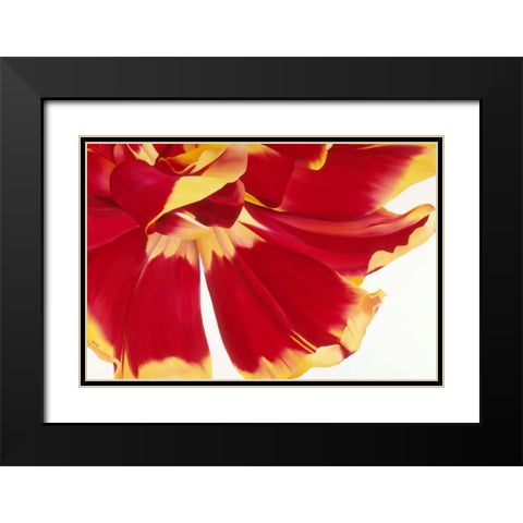 Floriade III Black Modern Wood Framed Art Print with Double Matting by Poelstra-Holzhaus, Yvonne