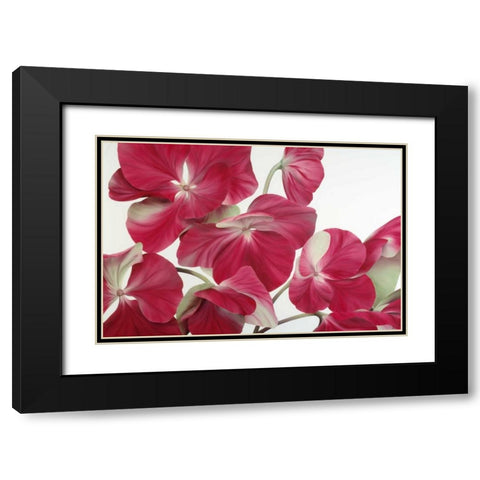 Floriade IV Black Modern Wood Framed Art Print with Double Matting by Poelstra-Holzhaus, Yvonne