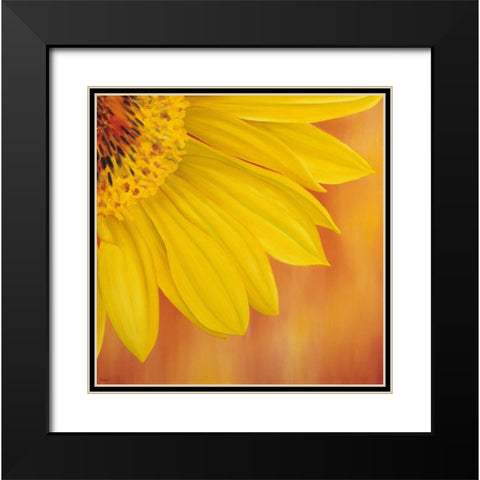 Sunflower II Black Modern Wood Framed Art Print with Double Matting by Poelstra-Holzhaus, Yvonne