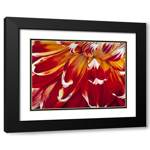 Redony Black Modern Wood Framed Art Print with Double Matting by Poelstra-Holzhaus, Yvonne