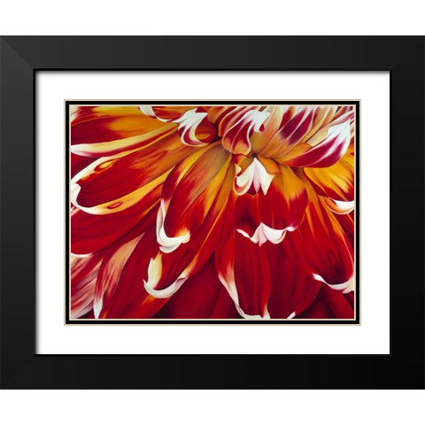 Redony Black Modern Wood Framed Art Print with Double Matting by Poelstra-Holzhaus, Yvonne