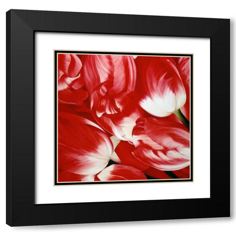 Most Beautiful Tulip III Black Modern Wood Framed Art Print with Double Matting by Poelstra-Holzhaus, Yvonne