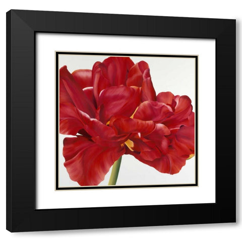 Colourful Floral II Black Modern Wood Framed Art Print with Double Matting by Poelstra-Holzhaus, Yvonne