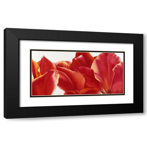 Fancy Flower I Black Modern Wood Framed Art Print with Double Matting by Poelstra-Holzhaus, Yvonne