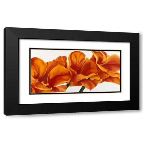 Fancy Flower II Black Modern Wood Framed Art Print with Double Matting by Poelstra-Holzhaus, Yvonne