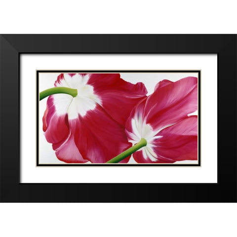 Tulipa Black Modern Wood Framed Art Print with Double Matting by Poelstra-Holzhaus, Yvonne